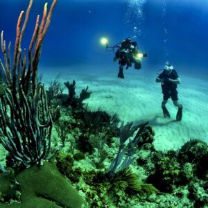 Bautismo de buceo