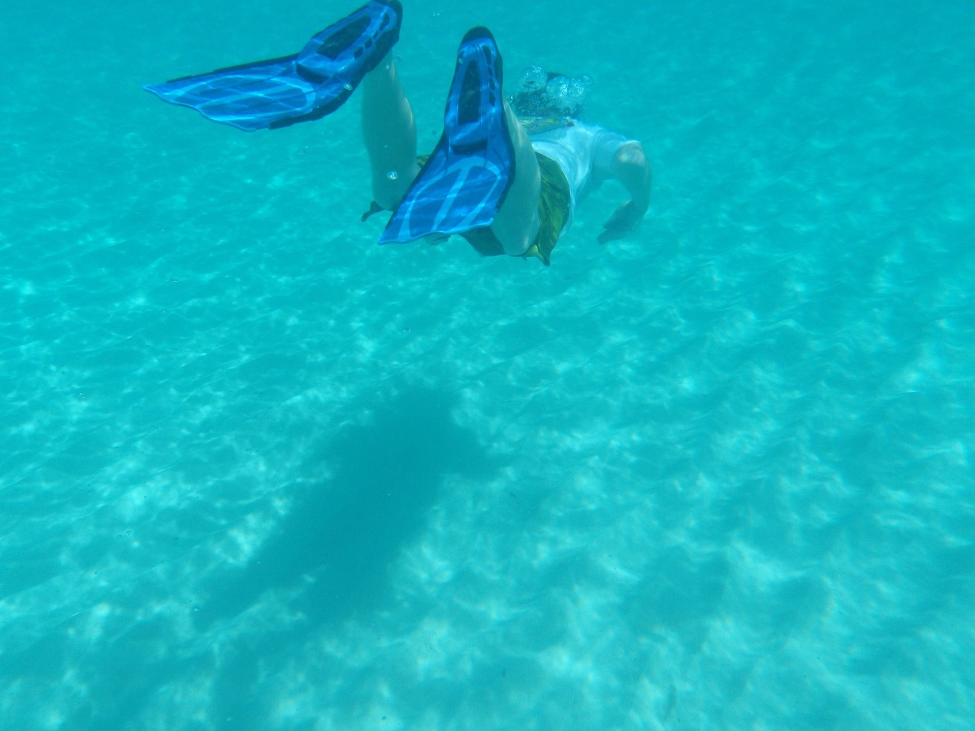 Snorkel - Imagen 2