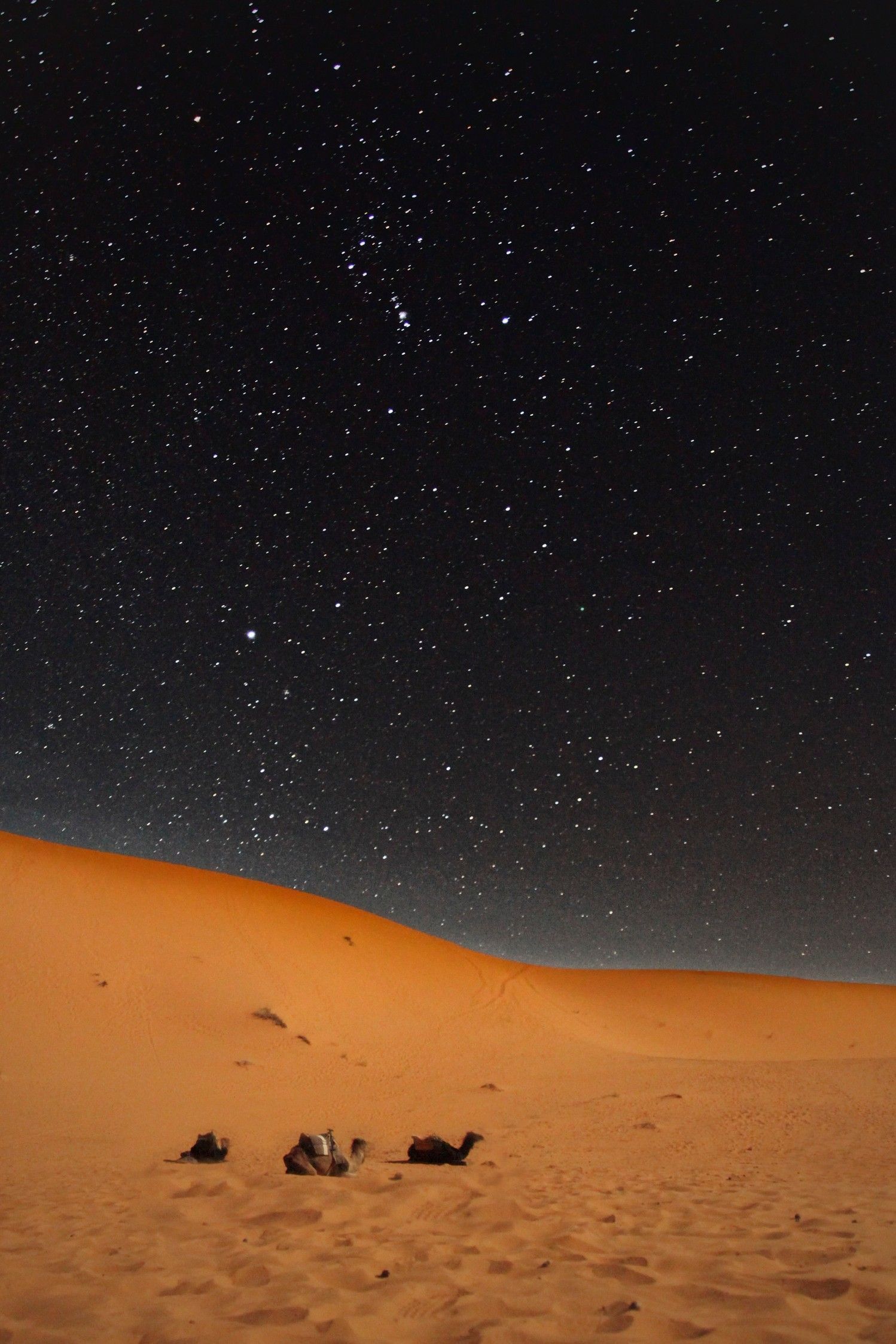 MARRUECOS. Gran Tour 8 días / 7 noches desde Madrid - Imagen 14