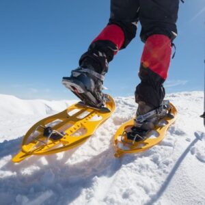 raquetas de nieve