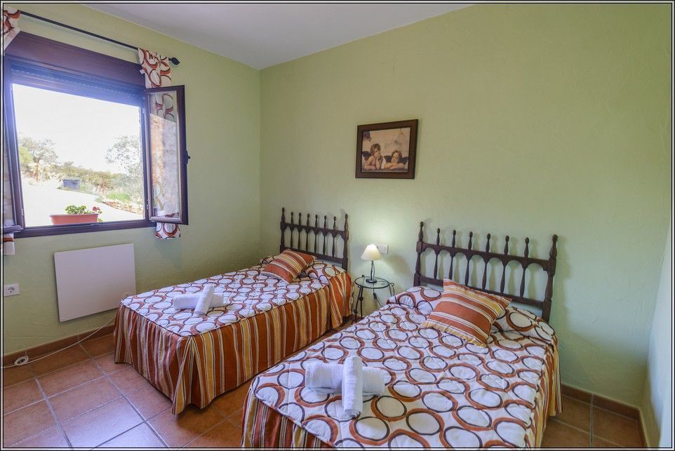 Avellano - Imagen 2