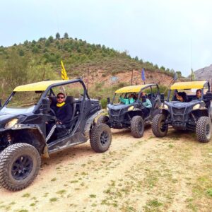 Ruta en Buggy Ronda
