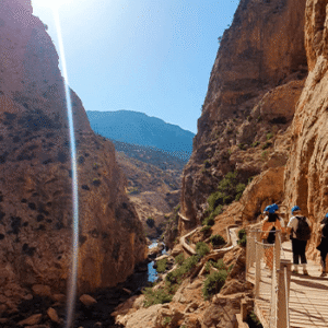 Caminito del Rey en Bus desde Málaga