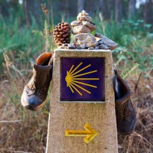Camino de Santiago (7 días) en albergues
