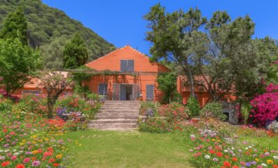 Casa Pájaro Colores en Bolonia