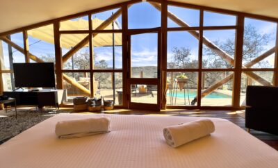 Suite Dehesa