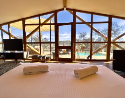 Suite Dehesa